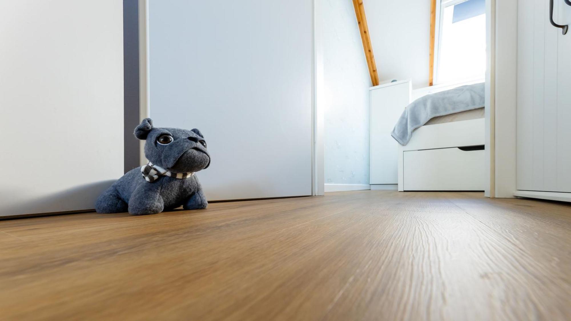 Haus Seeblick Mit 9 Wohnungen Alt Reddevitz Esterno foto