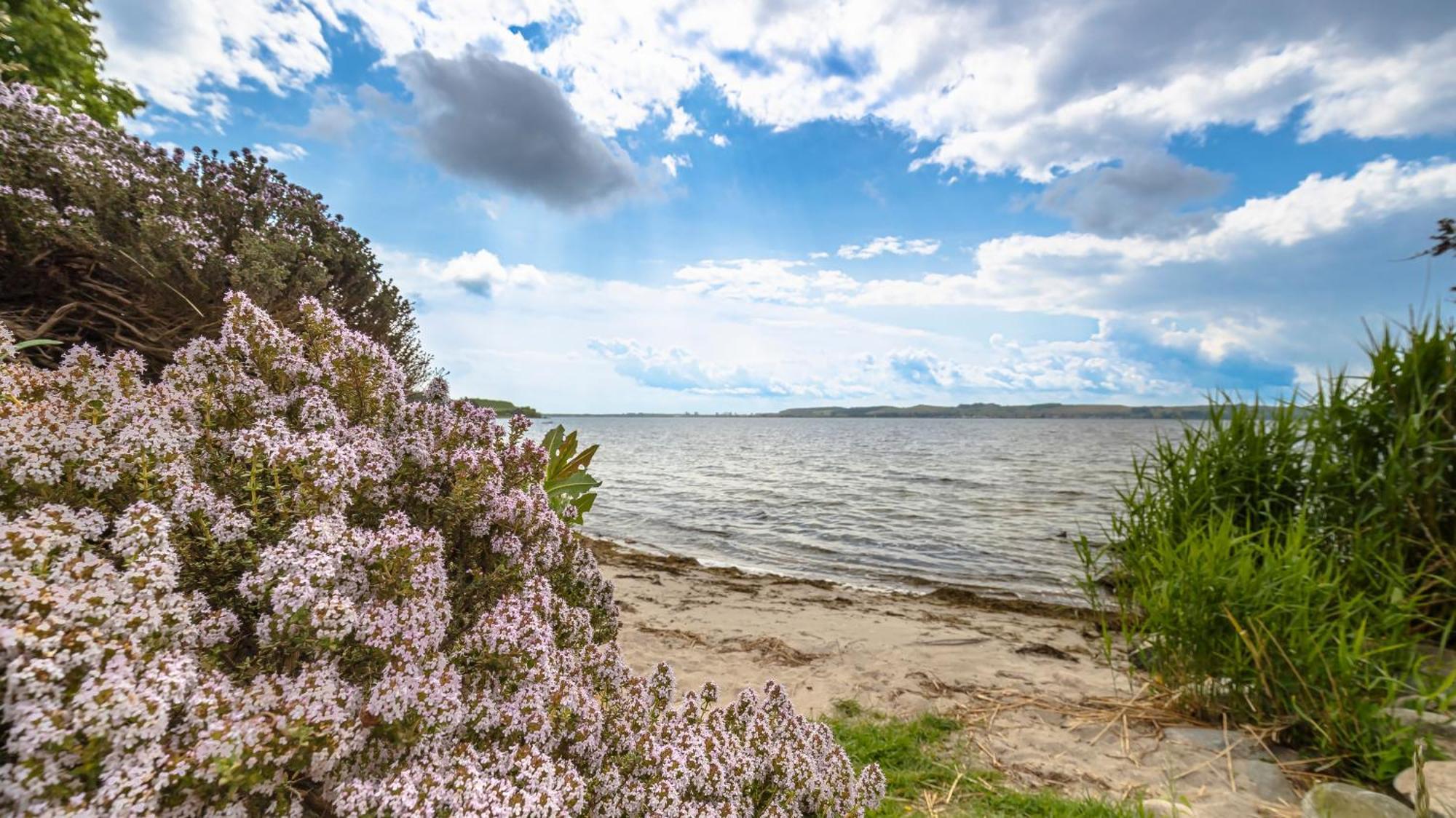 Haus Seeblick Mit 9 Wohnungen Alt Reddevitz Esterno foto