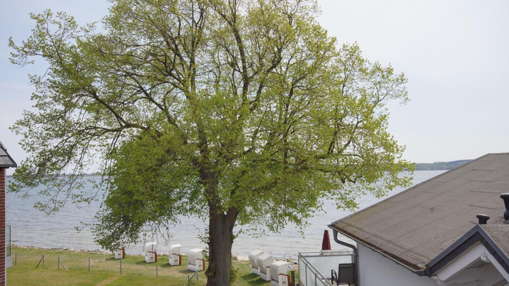 Haus Seeblick Mit 9 Wohnungen Alt Reddevitz Esterno foto